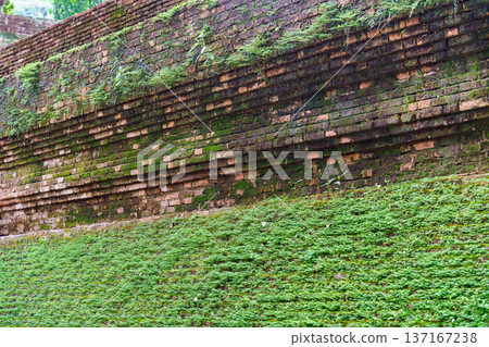 Ancient brick temple wall with moss and plant covered 137167238