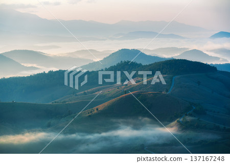 Beautiful foggy mountain on tropical highland in countryside 137167248