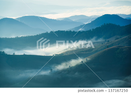 Beautiful foggy mountain on tropical highland in countryside Beautiful foggy mountain on tropical highland in countryside 137167250
