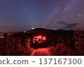 Light painting under starry night sky on mountain of cornfield with milky way glowing in countryside 137167300