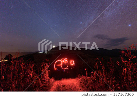 Light painting under starry night sky on mountain of cornfield with milky way glowing in countryside 137167300