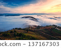 Sunrise over sea of fog flowing over mountain during harvest in countryside 137167303