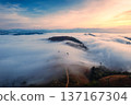 Sunrise over sea of fog flowing over mountain during harvest in countryside 137167304