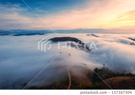 Sunrise over sea of fog flowing over mountain during harvest in countryside 137167304