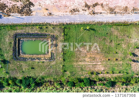 Agricultural field with plants and pond on countryside 137167308