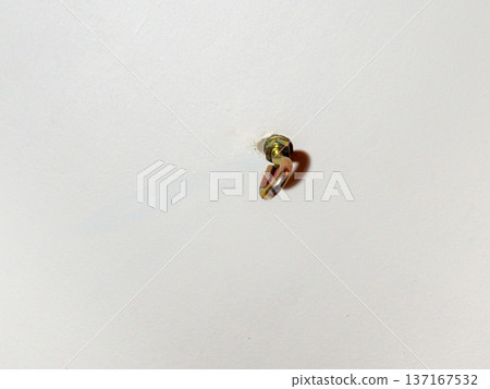 hammock hook on a white ceiling. Metal mount on the ceiling. Reliable fastening. 137167532