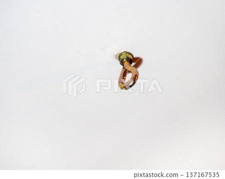 hammock hook on a white ceiling. Metal mount on the ceiling. Reliable fastening. hammock hook on a white ceiling. Metal mount on the ceiling. Reliable fastening. 137167535