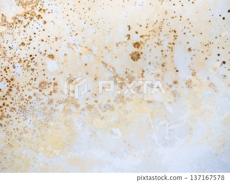Brown mold on white bathroom enamel. Bacteria house concept Brown mold on white bathroom enamel. Bacteria house concept 137167578