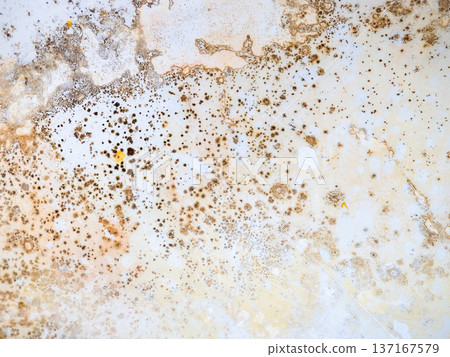 Brown mold on white bathroom enamel. Bacteria house concept. Brown mold on white bathroom enamel. Bacteria house concept. 137167579