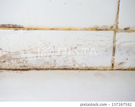 Brown mold on white tiles in the bathroom. Mold in the cracks between the tiles. House bacteria concept. Brown mold on white tiles in the bathroom. Mold in the cracks between the tiles. House bacteria concept. 137167582