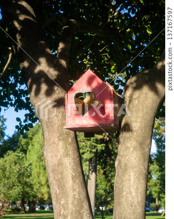 Homemade birdhouse on a tree in the park. Caring for animals. Homemade birdhouse on a tree in the park. Caring for animals. 137167597