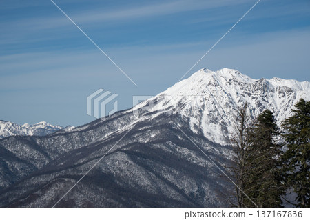 Snow covered mountain peak and forested ridges under clear blue sky create alpine landscape panorama in Caucasus region, Winter travel, adventure tourism and outdoor recreation concept for destination Snow covered mountain peak and forested ridges under clear blue sky create alpine landscape panorama in Caucasus region, Winter travel, adventure tourism and outdoor recreation concept for destination 137167836