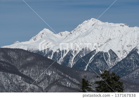 Snow covered mountain peaks above forested ridges in Krasnaya Polyana form high altitude alpine panorama under clear blue winter sky, Scenic winter landscape concept for travel marketing, tourism Snow covered mountain peaks above forested ridges in Krasnaya Polyana form high altitude alpine panorama under clear blue winter sky, Scenic winter landscape concept for travel marketing, tourism 137167838