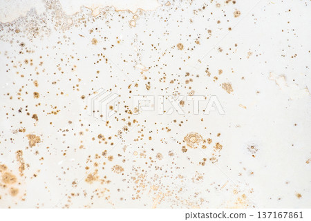 Mold on the surface of the bathroom. Dark mold close-up on bathroom enamel. Dirty white surface. 137167861