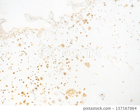 Mold on the surface of the bathroom. Dark mold close-up on bathroom enamel. Dirty white surface. The concept of the appearance of bacteria. Mold on the surface of the bathroom. Dark mold close-up on bathroom enamel. Dirty white surface. The concept of the appearance of bacteria. 137167864