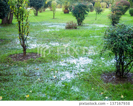 Park after the rain. Park lawn in puddles. After bad weather. Autumn in the park. Park after the rain. Park lawn in puddles. After bad weather. Autumn in the park. 137167938
