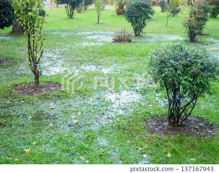 Park after the rain. Park lawn in puddles. After bad weather.  Autumn in the park. 137167943
