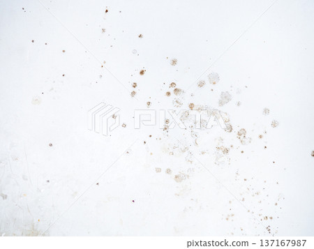 Mold on bathroom enamel. Mold spores in the bathroom. Black dots on a white background. A problem for everyday life. The need for a cleaning agent Mold on bathroom enamel. Mold spores in the bathroom. Black dots on a white background. A problem for everyday life. The need for a cleaning agent 137167987