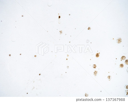 Mold on bathroom enamel. Mold spores in the bathroom. Black dots on a white background. A problem for everyday life. The need for a cleaning agent Mold on bathroom enamel. Mold spores in the bathroom. Black dots on a white background. A problem for everyday life. The need for a cleaning agent 137167988