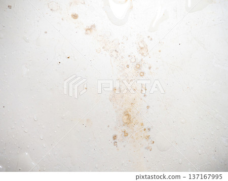 Mold on bathroom enamel. Mold spores in the bathroom. Black dots on a white background. A problem for everyday life. The need for a cleaning agent. Mold on bathroom enamel. Mold spores in the bathroom. Black dots on a white background. A problem for everyday life. The need for a cleaning agent. 137167995