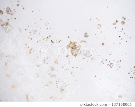 Mold on the enamel in the bathroom. Mold spores in the bathroom. Black dots on a white background. The problem of everyday life. The need for a cleaning product Mold on the enamel in the bathroom. Mold spores in the bathroom. Black dots on a white background. The problem of everyday life. The need for a cleaning product 137168005