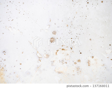 Mold on the enamel in the bathroom. Mold spores in the bathroom. Black dots on a white background. The problem of everyday life. The need for a cleaning product Mold on the enamel in the bathroom. Mold spores in the bathroom. Black dots on a white background. The problem of everyday life. The need for a cleaning product 137168011