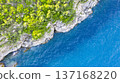 Aerial view at the beach. 137168220