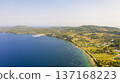 Aerial view at the beach. 137168223