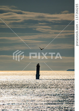 The Shell Island Lighthouse and its sparkling lights stand in the spring sea The Shell Island Lighthouse and its sparkling lights stand in the spring sea 137168285