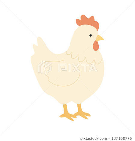 Cute white hen standing on white background, farm animal illustration 137168776