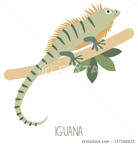 Green iguana climbing tropical tree branch illustration Green iguana climbing tropical tree branch illustration 137168825