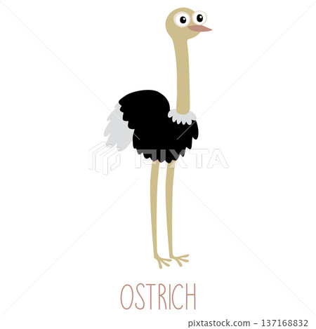 Ostrich standing cartoon character isolated on white background Ostrich standing cartoon character isolated on white background 137168832
