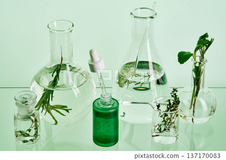 Creating natural cosmetic products with plant extracts Creating natural cosmetic products with plant extracts 137170083