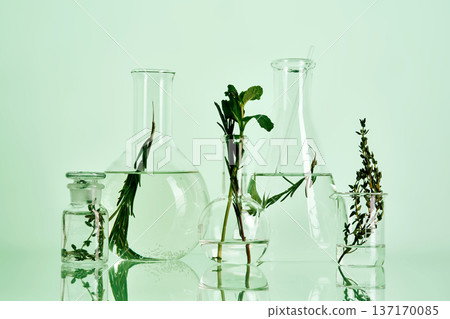 Herbs and plants soaking in laboratory glassware Herbs and plants soaking in laboratory glassware 137170085