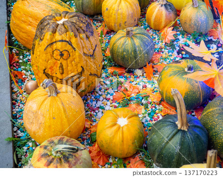 Decorations for Halloween on the street near the restaurant. Autumn holiday decorations. Illuminations. Restaurant patio decoration. Painted multi-colored pumpkins. All Saints' Day. The holiday is Decorations for Halloween on the street near the restaurant. Autumn holiday decorations. Illuminations. Restaurant patio decoration. Painted multi-colored pumpkins. All Saints' Day. The holiday is 137170223