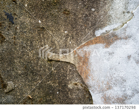 cement. Background from an old wall . Mold on the wall. Part of an old house. cement. Background from an old wall . Mold on the wall. Part of an old house. 137170298