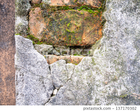 Brickwork breaks through under the cement. Background from an old wall and moss. Mold and moss on the wall. Part of an old house. Brickwork breaks through under the cement. Background from an old wall and moss. Mold and moss on the wall. Part of an old house. 137170302