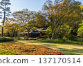 Japanese-style architecture and fresh greenery in the East Gardens of the Imperial Palace 137170514