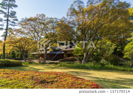 Japanese-style architecture and fresh greenery in the East Gardens of the Imperial Palace 137170514
