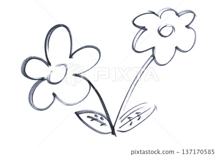 two flowers drawn with a black marker 137170585
