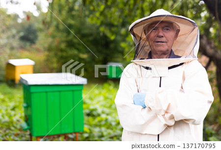 Old male hiver in bee yard 137170795
