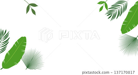 Tropical Green Leaves Background with Copy Space Natural Botanical Design Tropical Green Leaves Background with Copy Space Natural Botanical Design 137170817