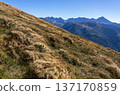 Peaks of the Tatra Mountains and autumn grass. 137170859