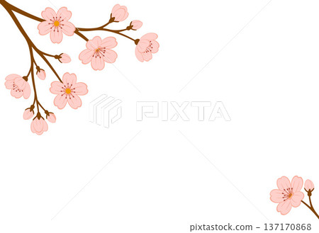 Elegant sakura branch corner frame with pink cherry blossoms. Hand drawn flat style isolated Elegant sakura branch corner frame with pink cherry blossoms. Hand drawn flat style isolated 137170868