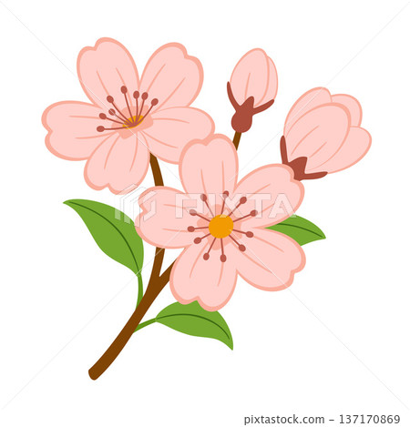 Cherry blossom branch with flowers and green leaves. Hand drawn trendy flat style Cherry blossom branch with flowers and green leaves. Hand drawn trendy flat style 137170869