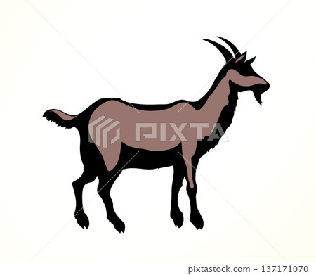 Big white goat. Vector animal 137171070