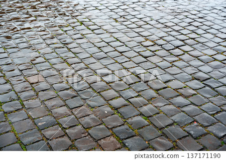 Rain dampens a cobblestone street and reveals green moss in a quiet area of a city 137171190