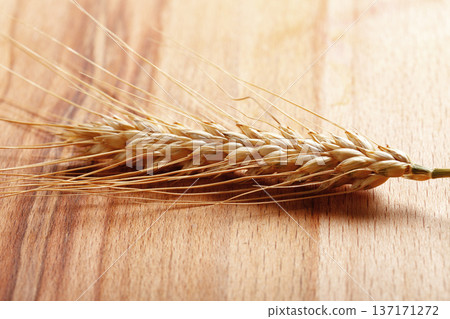 Wheat stalk placed on wooden surface in natural light 137171272