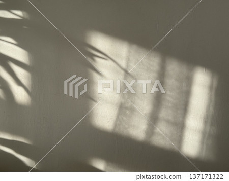 Sunlight creating abstract shadows of a plant on a textured wall Sunlight creating abstract shadows of a plant on a textured wall 137171322