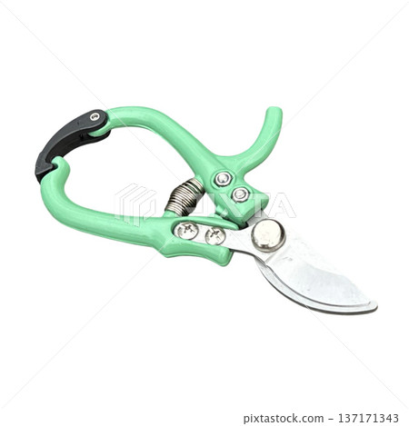 Pruning secateurs with green handle on white background Pruning secateurs with green handle on white background 137171343